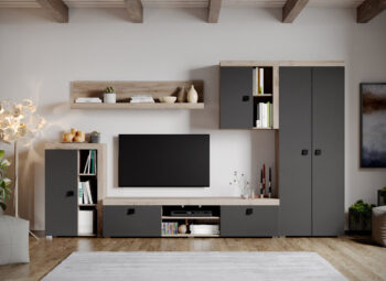Set Mobilier Living Gri cu Stejar Henry - C02
