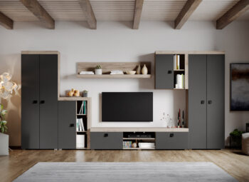 Set Mobilier Living Gri cu Stejar Henry - C03