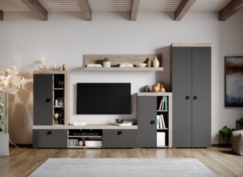Set Mobilier Living Gri cu Stejar Henry-C06